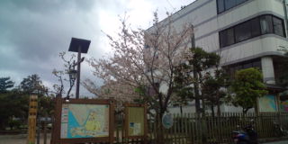 20100401170121.jpg