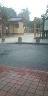 20100830161131.jpg